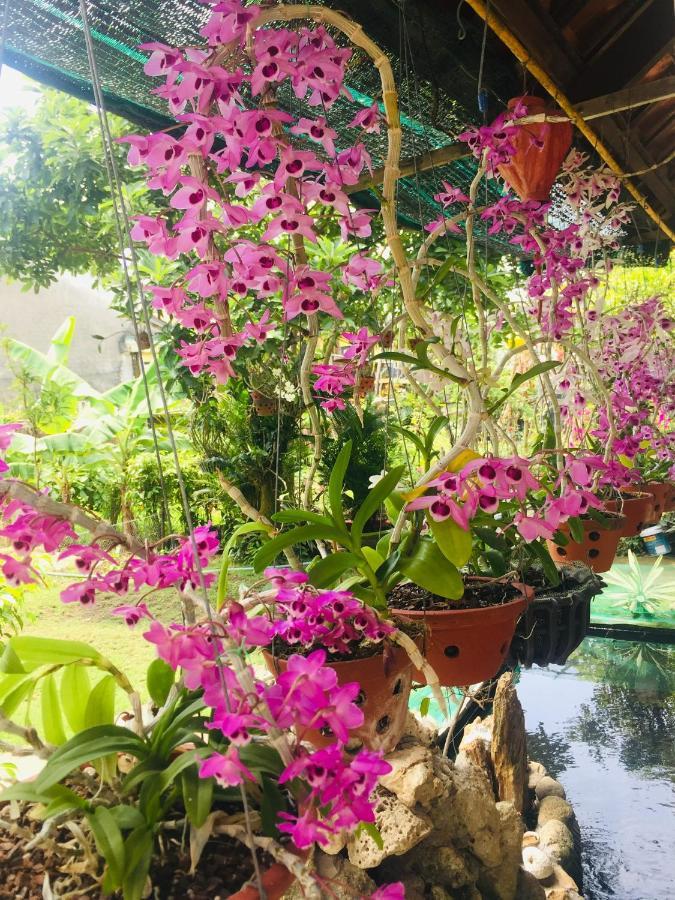 Do River Homestay Хой Ан Екстериор снимка