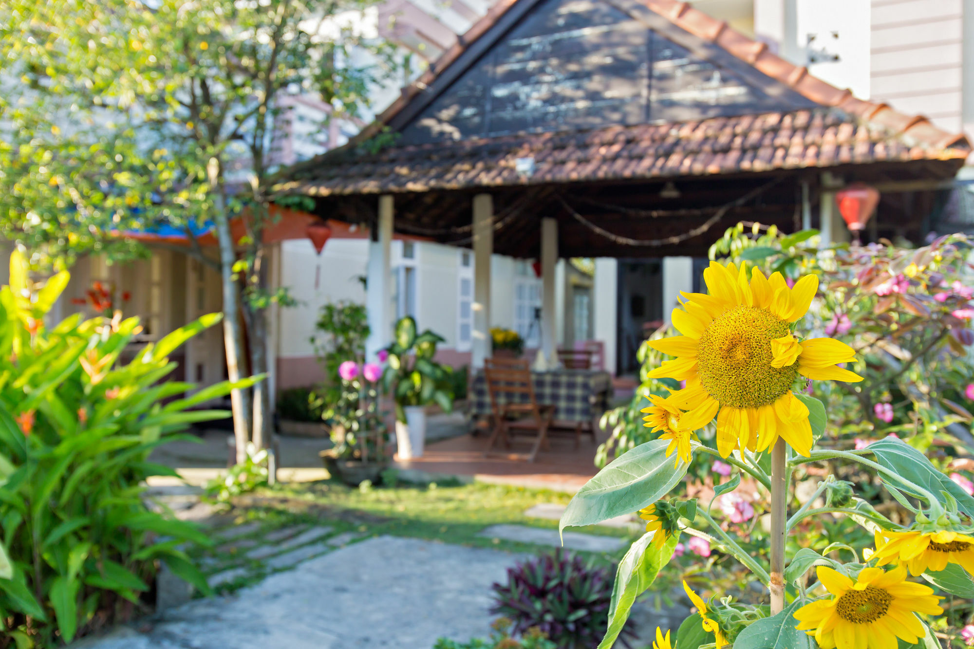 Do River Homestay Хой Ан Екстериор снимка